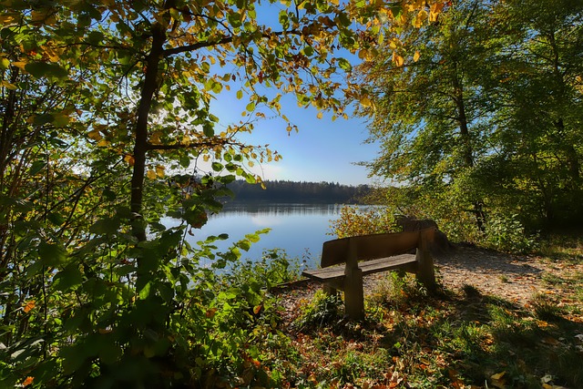 灵活性的战 灵活性的战