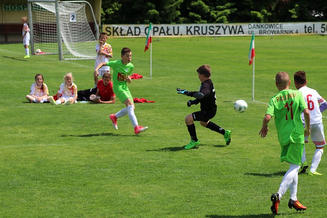 彩片段和回 彩片段和回