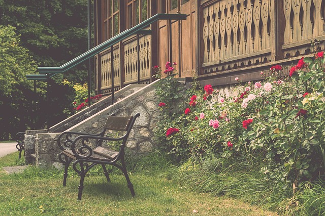 年轻前锋时 年轻前锋时