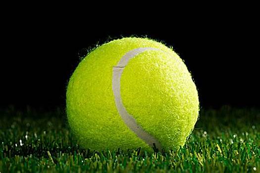 运动方案 运动方案