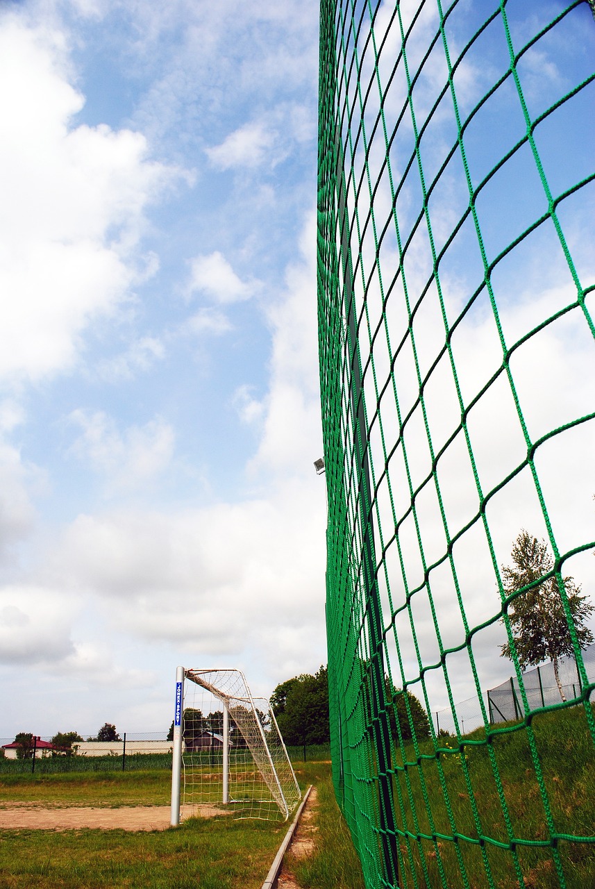 引发情绪波 引发情绪波